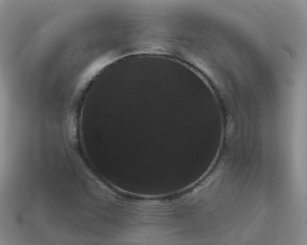 X0000113881455200910081737