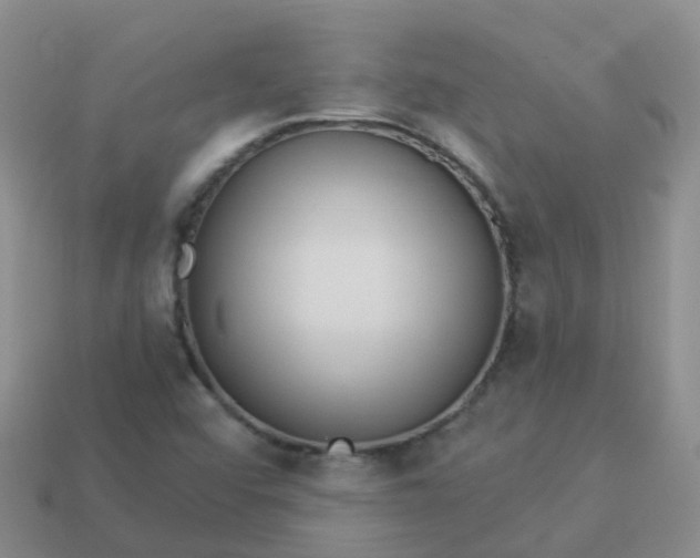 X0000113881456200910081737