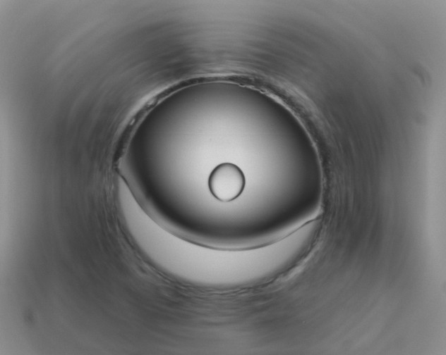 X0000113881457200910081737