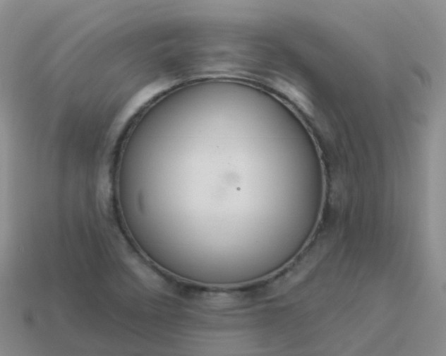 X0000113881458200910081737