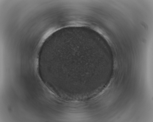 X0000113881459200910081737