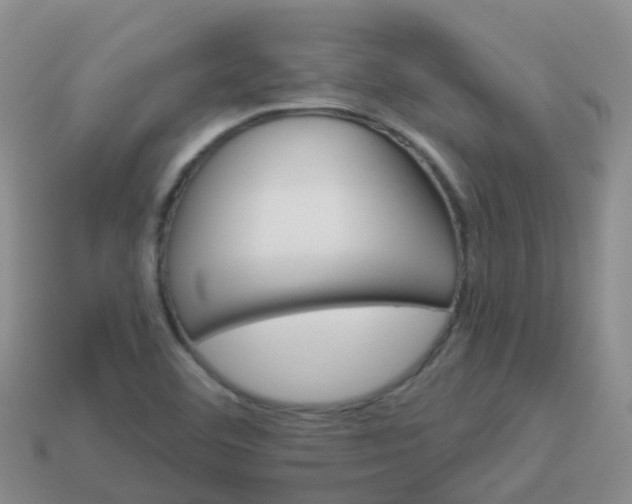 X0000113881460200910081737