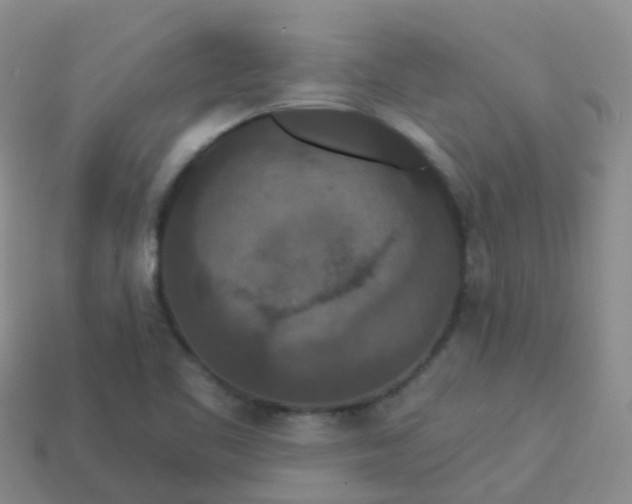 X0000113881461200910081737