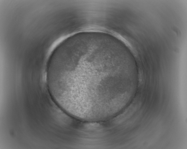 X0000113881462200910081737