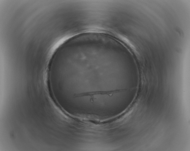 X0000113881463200910081737