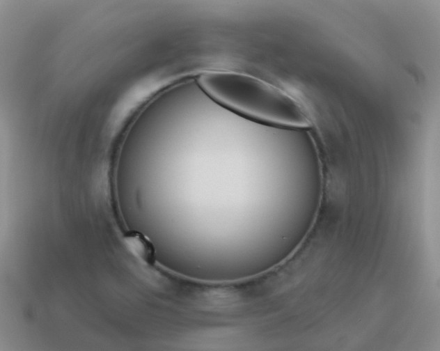 X0000113881464200910081737