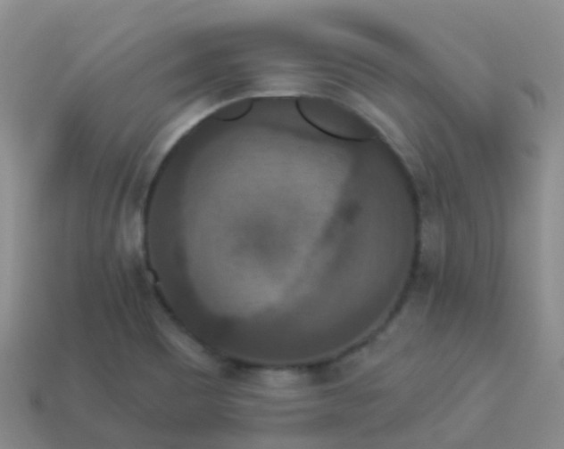 X0000113881465200910081737