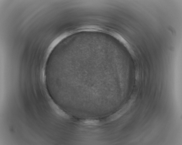 X0000113881466200910081737