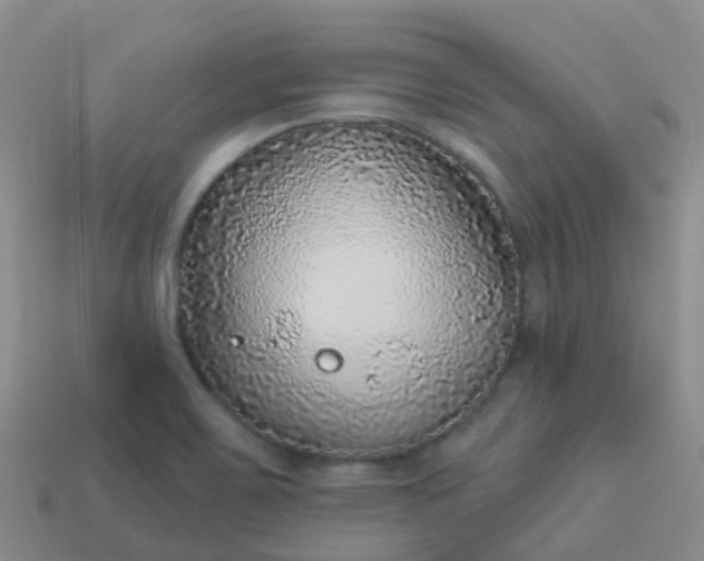 X0000113881467200910081737