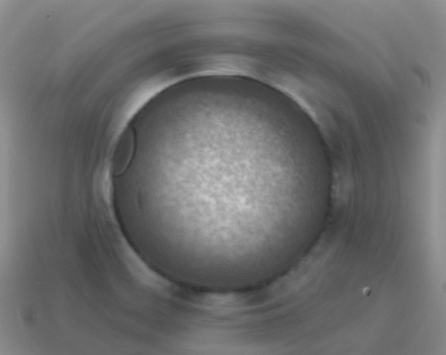 X0000113881468200910081737