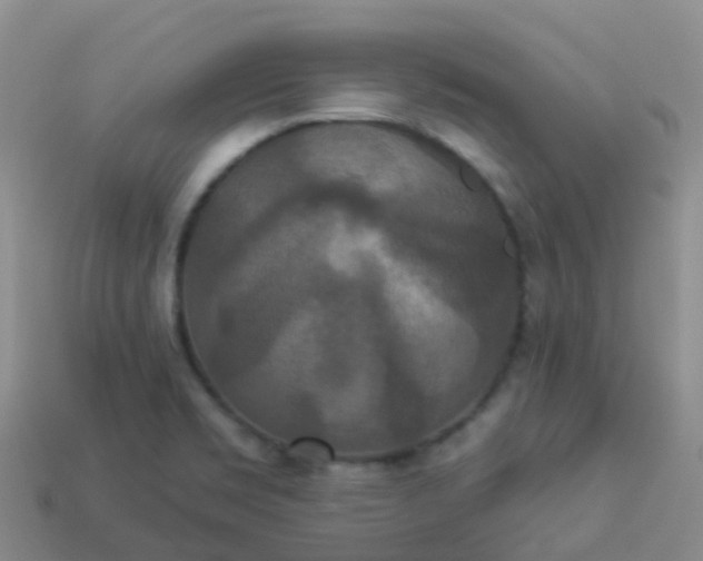 X0000113881469200910081737