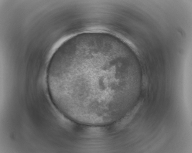 X0000113881470200910081737