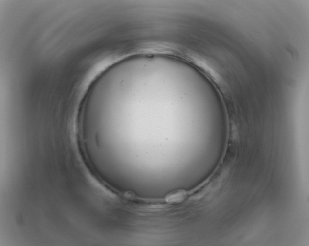 X0000113881471200910081737