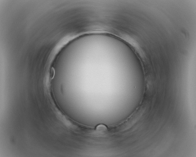 X0000113881472200910081737