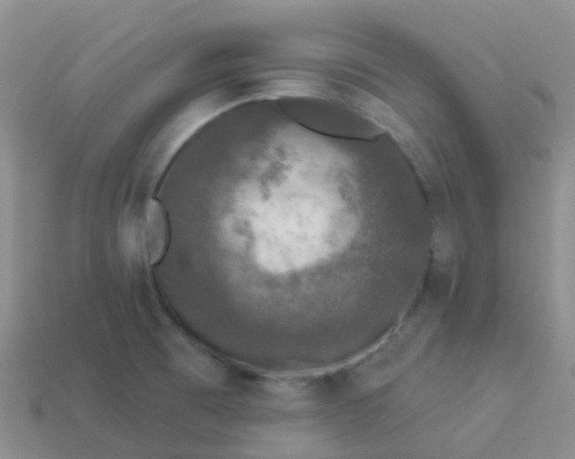 X0000113881473200910081737