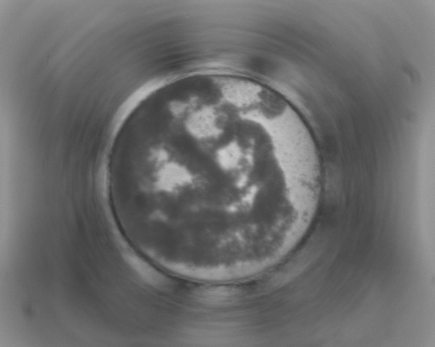 X0000113881474200910081737