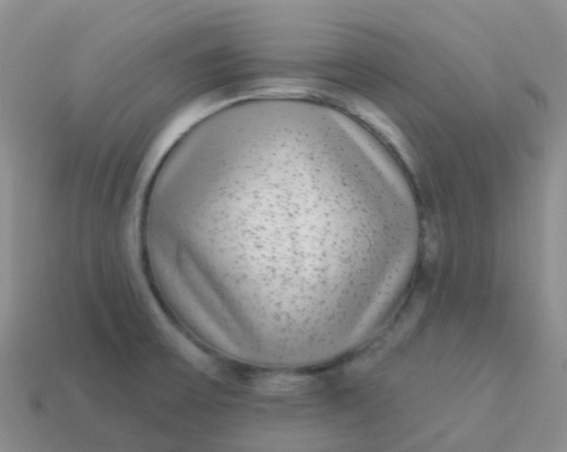 X0000113881475200910081737