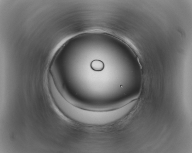 X0000113881476200910081737