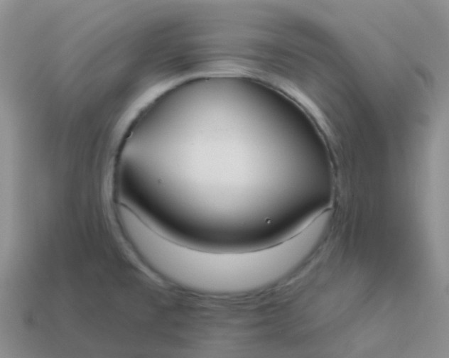 X0000113881477200910081737