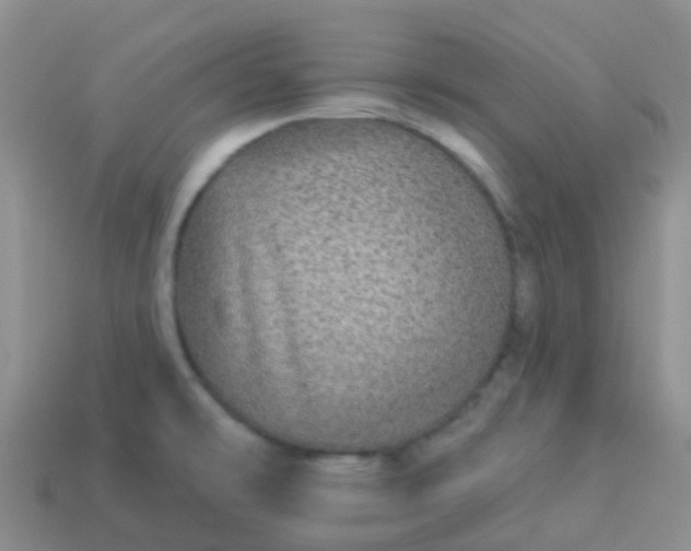 X0000113881478200910081737