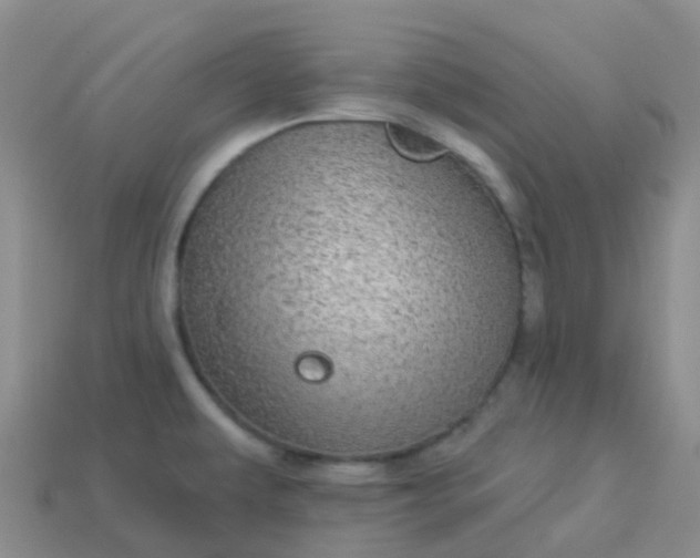 X0000113881479200910081737