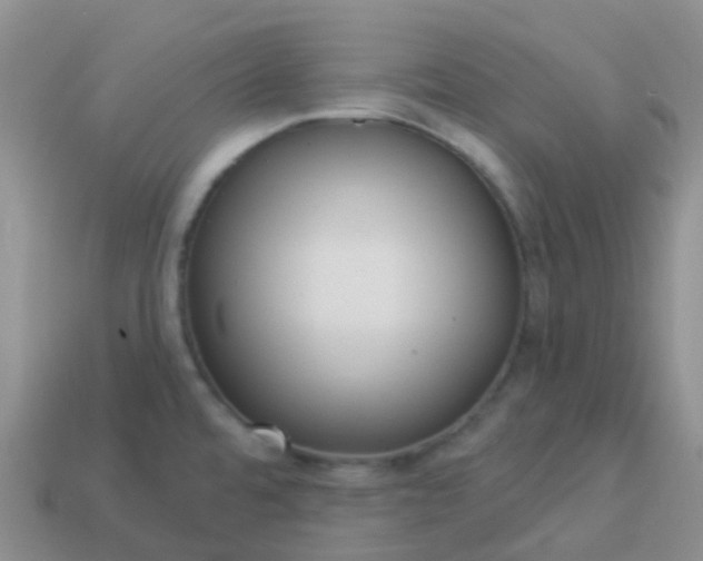 X0000113881480200910081737