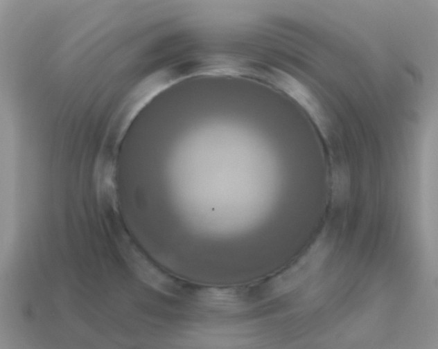 X0000113881481200910081737