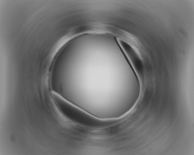 X0000113881484200910081737