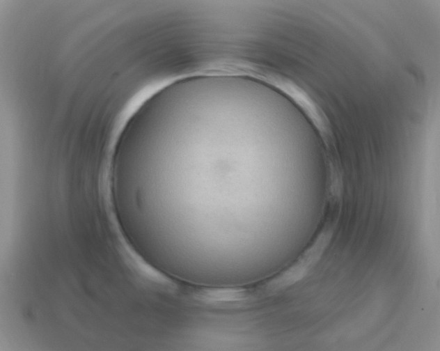 X0000113881486200910081737