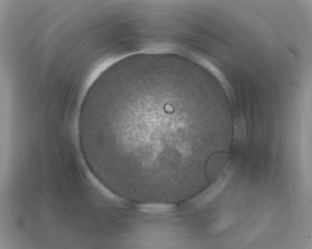 X0000113881487200910081737