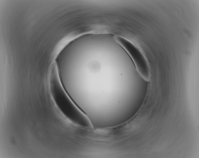 X0000113881488200910081737