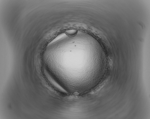 X0000113881489200910081736