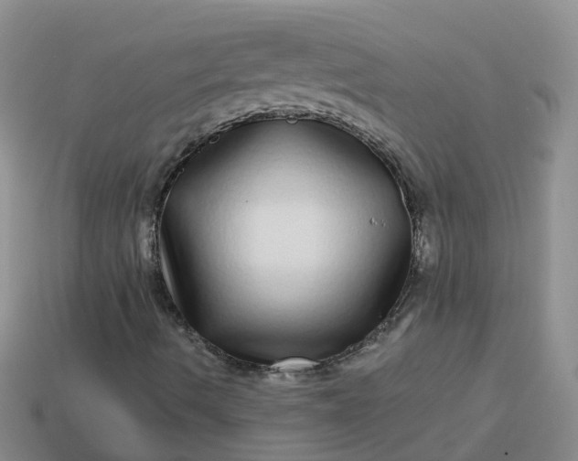 X0000113881490200910081736