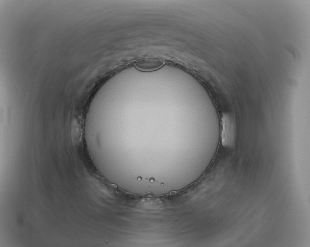 X0000113881491200910081736