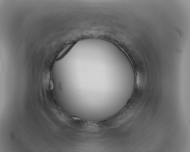 X0000113881492200910081736