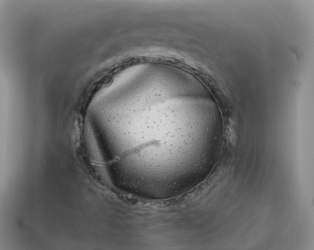 X0000113881493200910081736