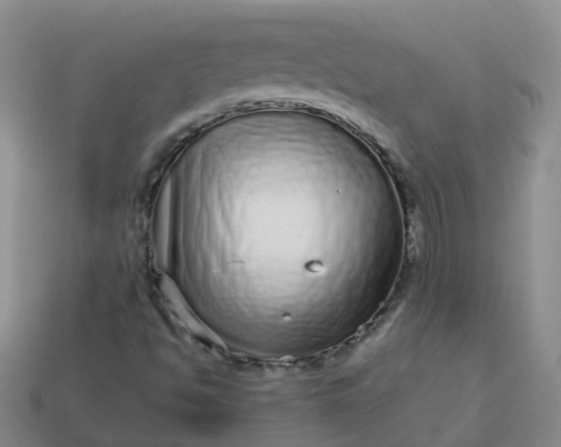 X0000113881494200910081736