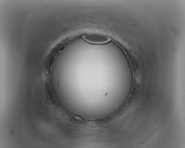 X0000113881495200910081736