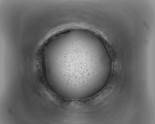 X0000113881496200910081736