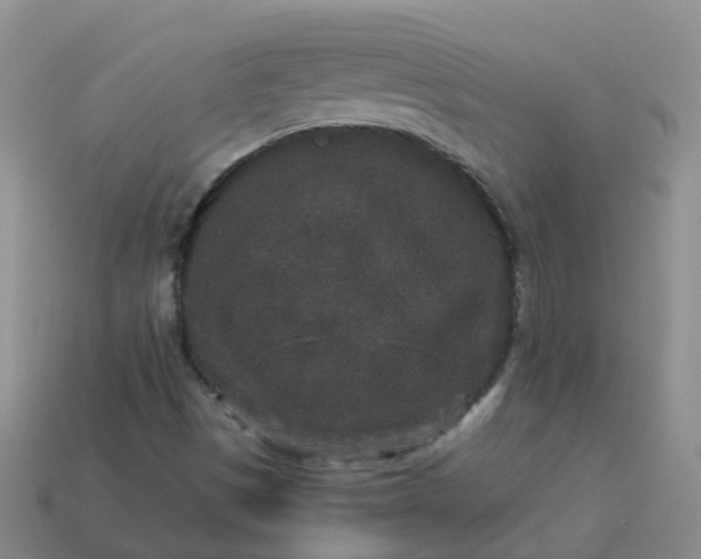 X0000113881497200910081736