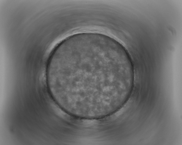 X0000113881498200910081736