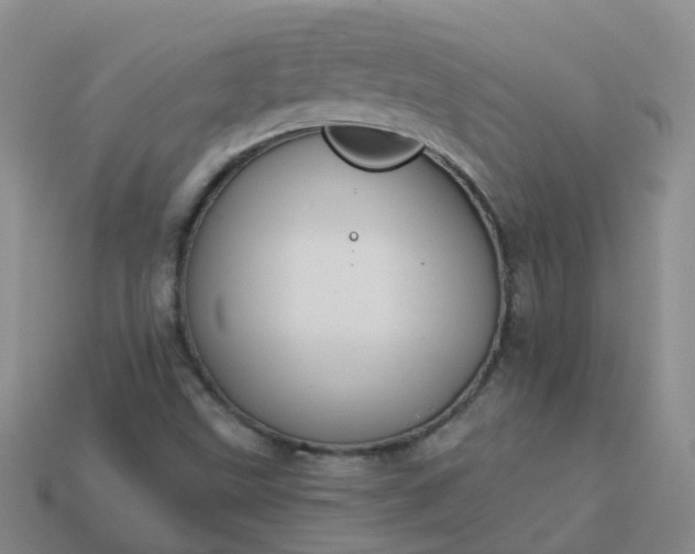 X0000113881499200910081736