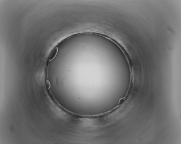 X0000113881500200910081736