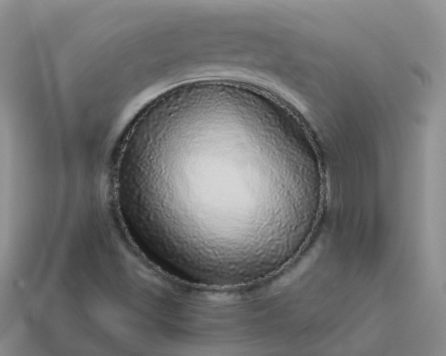 X0000113881501200910081736