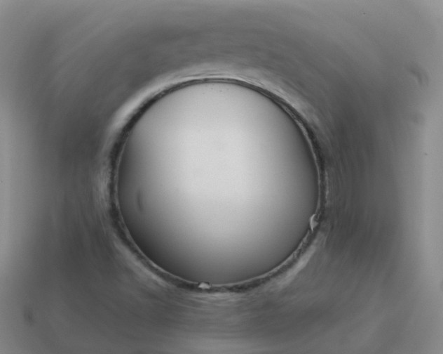 X0000113881502200910081736