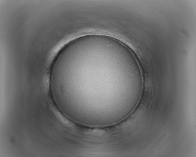 X0000113881503200910081736