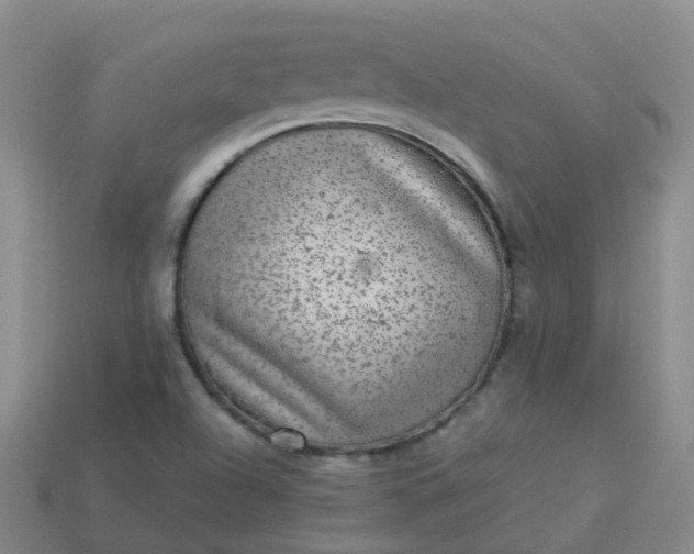 X0000113881504200910081736