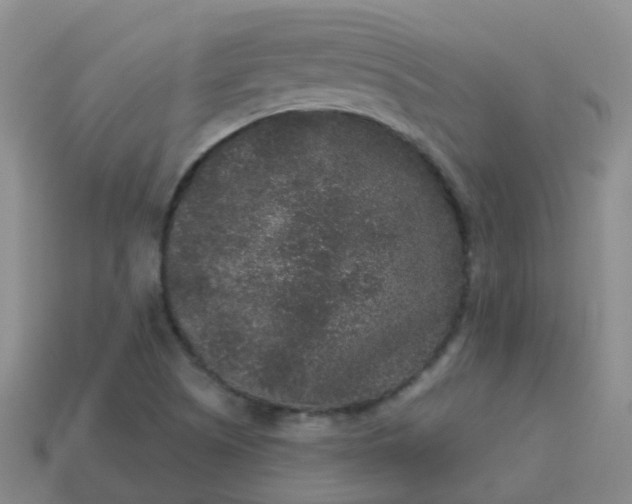 X0000113881505200910081736