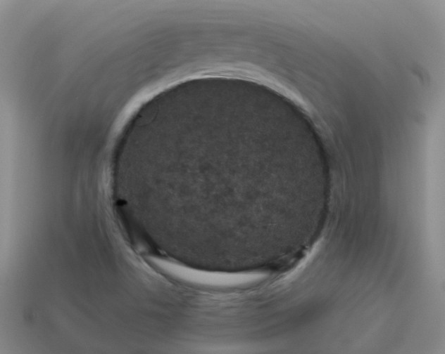 X0000113881506200910081736