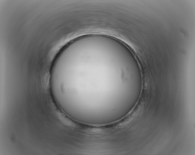 X0000113881507200910081736